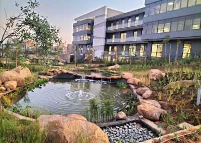 Waterscapes Group Projects
