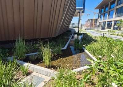 Waterscapes installation at Riverclub Precinct