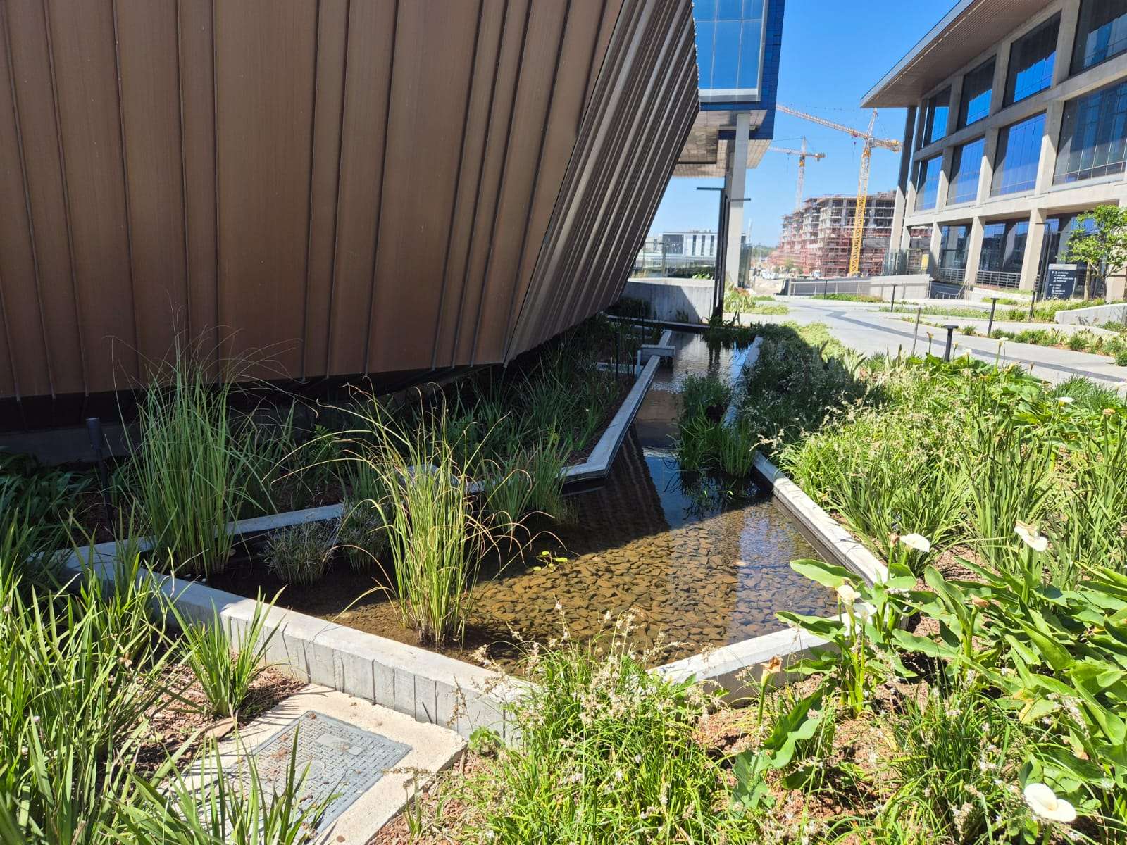 Waterscapes installation at Riverclub Precinct