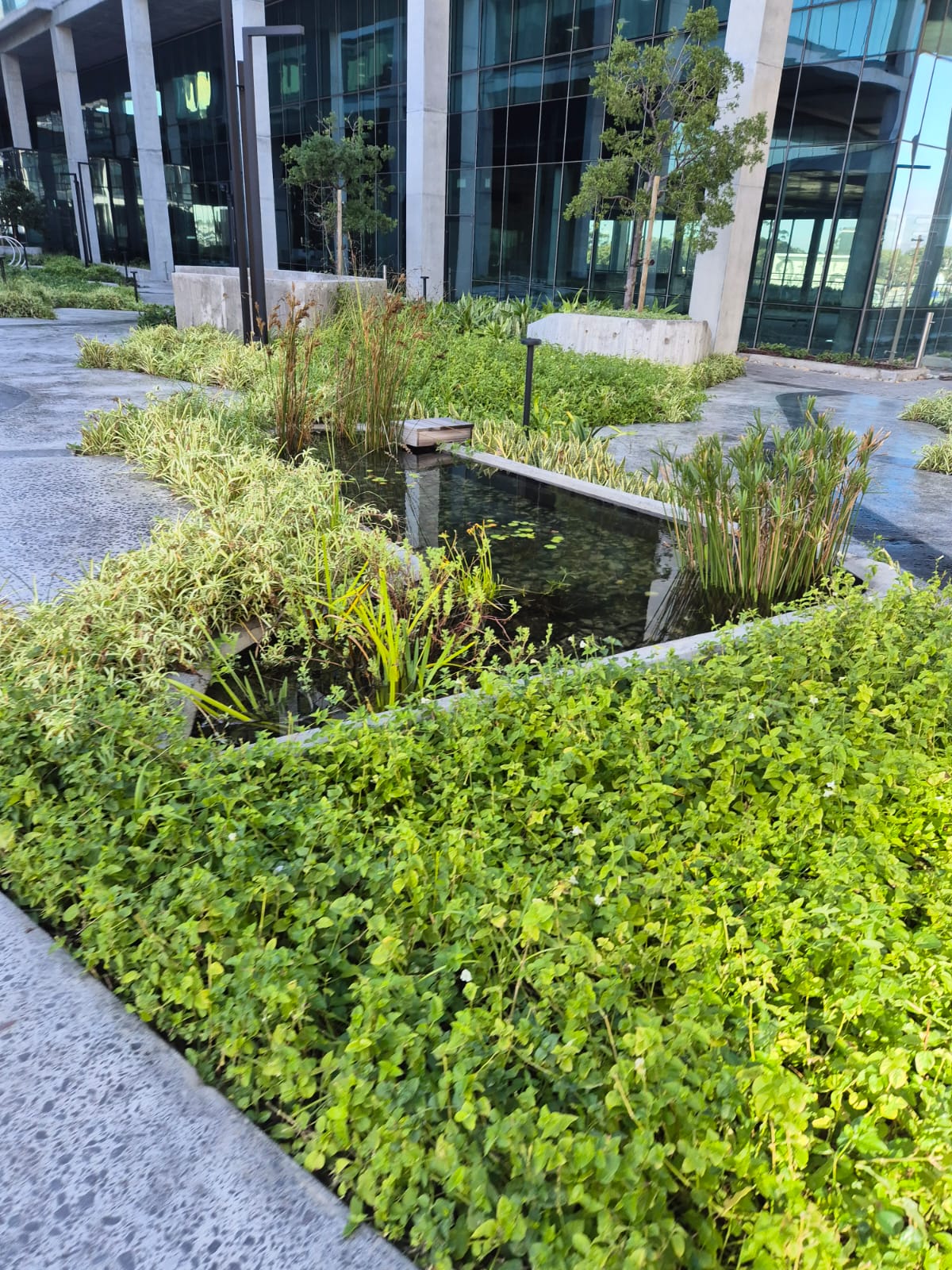 Waterscapes installation at Riverclub Precinct