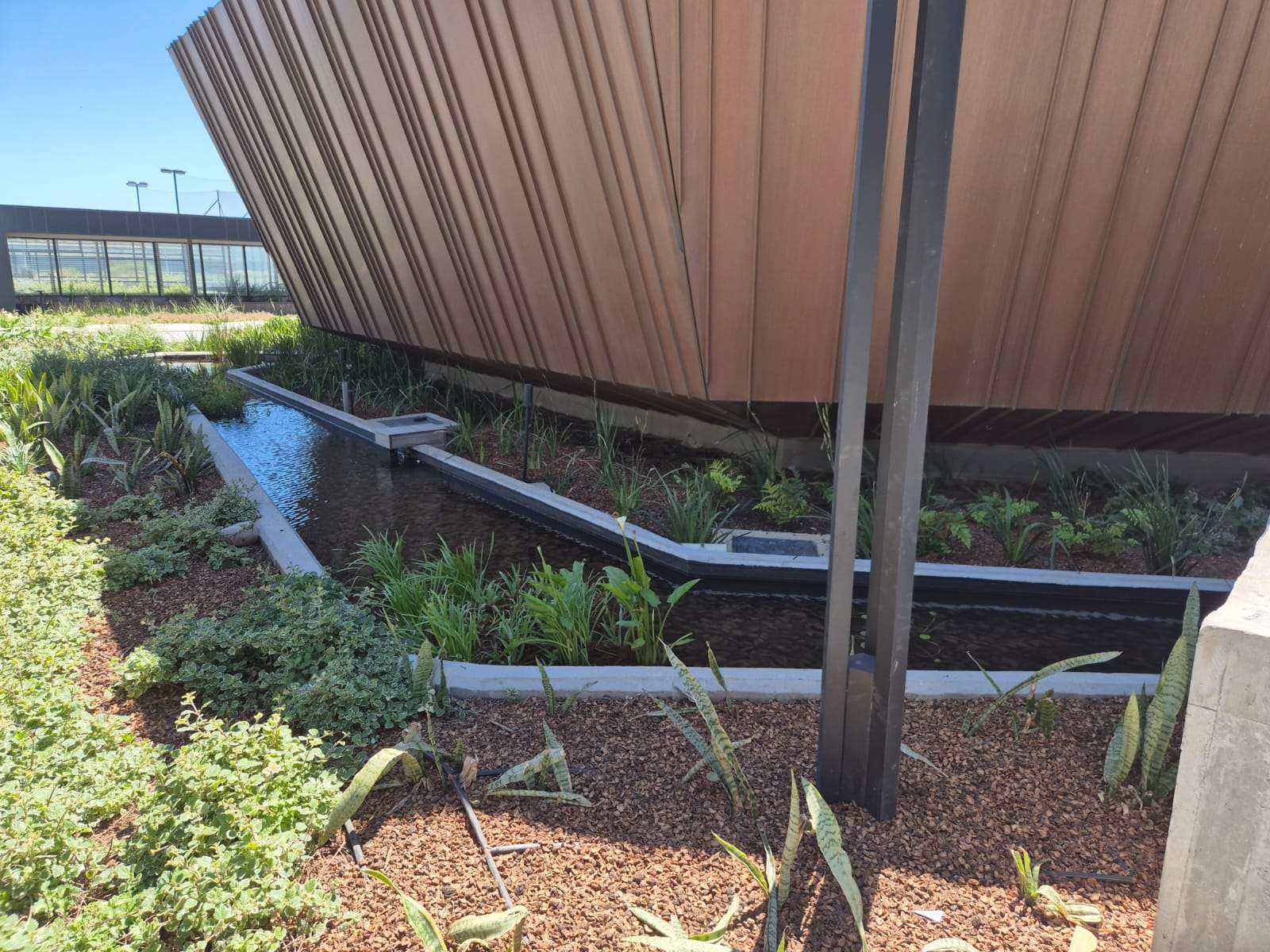 Waterscapes installation at Riverclub Precinct