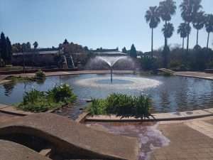 Constantia Park water feature maintenance