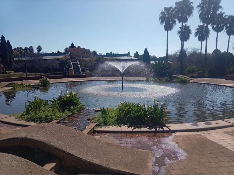 Constantia Park water feature maintenance