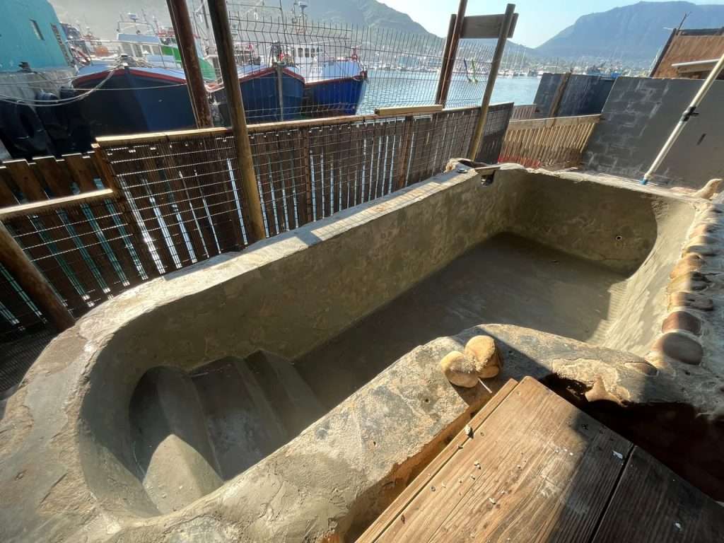 Hout Bay Seal Rescue Centre - Waterproofing