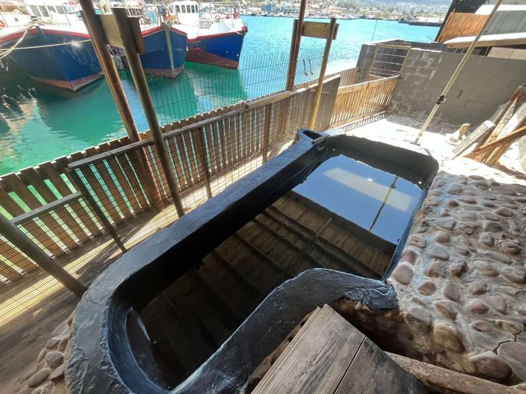 Hout Bay Seal Rescue Centre - Waterproofing