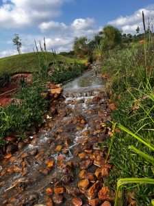 Malkerns Eswatini Dam and Streams
