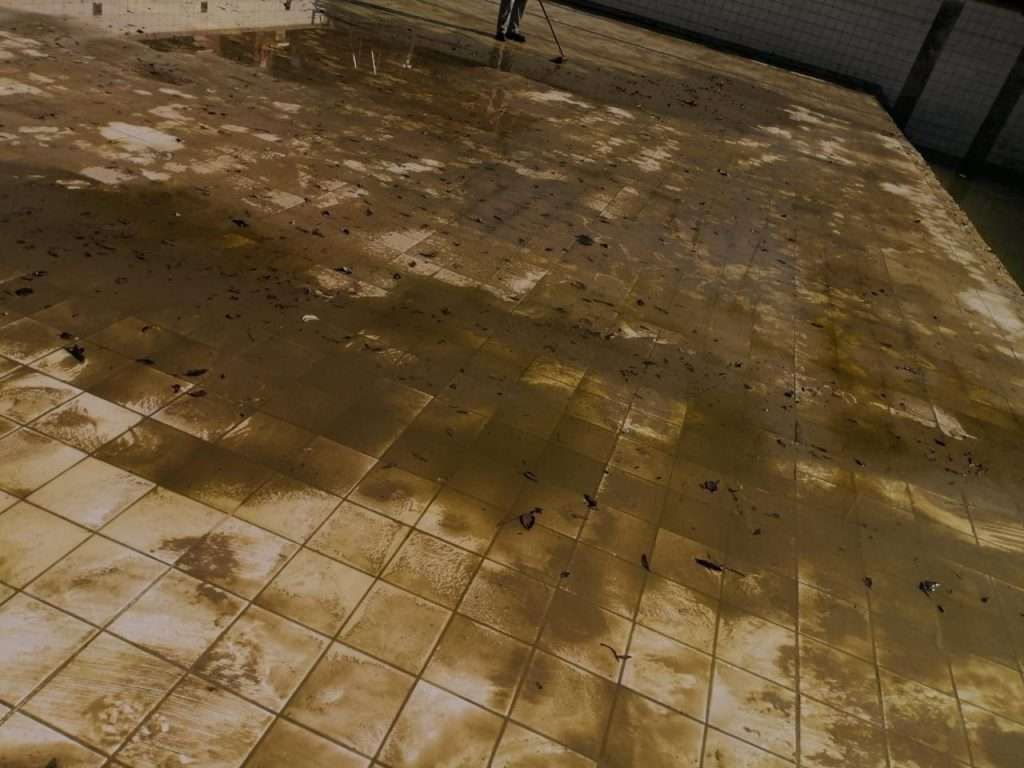 Parktonian Girls High Pool Renovation