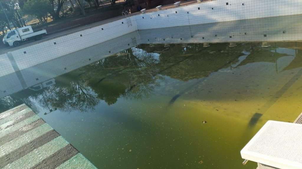 Parktonian Girls High Pool Renovation